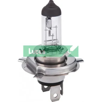 Ampoule, projecteur longue portée LUCAS LLB719