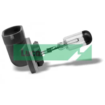 Ampoule, projecteur antibrouillard LUCAS LLB881