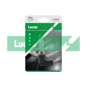 Ampoule, projecteur longue portée LUCAS LLB9005P