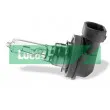 Ampoule, projecteur longue portée LUCAS LLX9005XLPX2 - Visuel 1