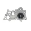 Pompe à eau VALEO 529536 - Visuel 2