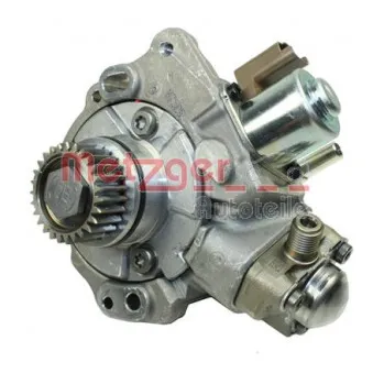 Pompe à haute pression METZGER 0830043