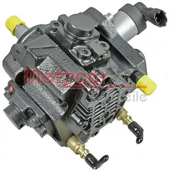 Pompe à haute pression METZGER 0830050