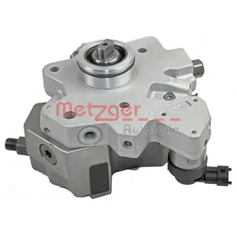 Pompe à haute pression METZGER 0830066