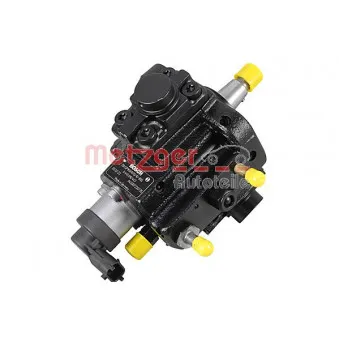 Pompe à haute pression METZGER 0830112