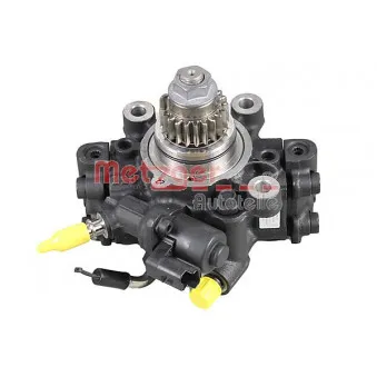 Pompe à haute pression METZGER 0830126