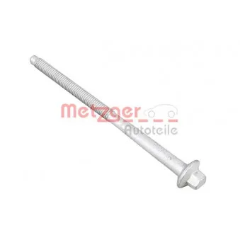 Vis, support pour controleur d'injecteurs METZGER 0870108S