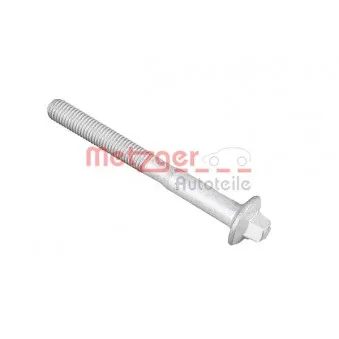 Vis, support pour controleur d'injecteurs METZGER 0871021S