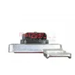 Capteur NOx, Catalyseur NOx METZGER 0899232 - Visuel 2
