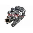 Module de tube d'admission METZGER 2100083 - Visuel 3