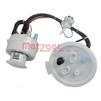 Unité d'injection de carburant METZGER 2250329