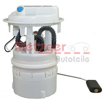 Unité d'injection de carburant METZGER 2250334