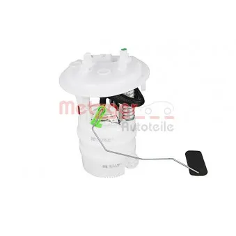 Unité d'injection de carburant METZGER 2250490