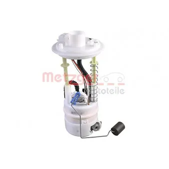 Unité d'injection de carburant METZGER 2250491