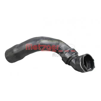 Durite de radiateur METZGER 2420268