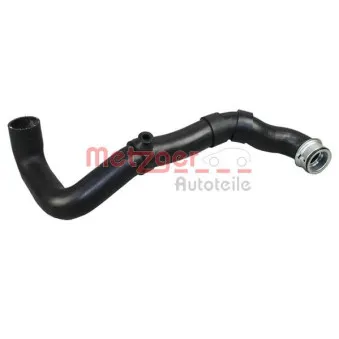 Durite de radiateur METZGER 2420330