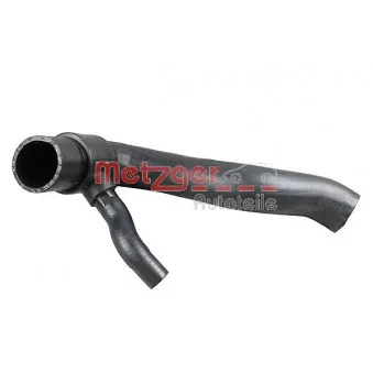 Durite de radiateur METZGER 2420358
