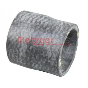 Durite de radiateur METZGER 2420723