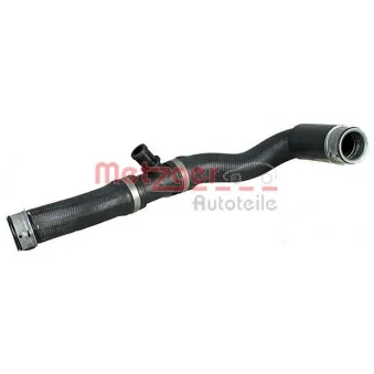 Durite de radiateur METZGER 2420732