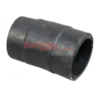 Durite de radiateur METZGER 2420826