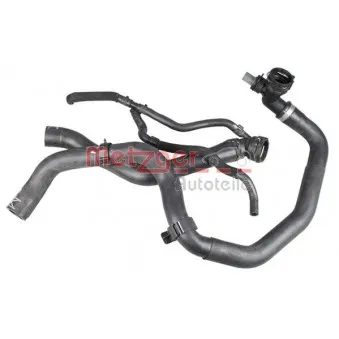 Durite de radiateur METZGER 2420879