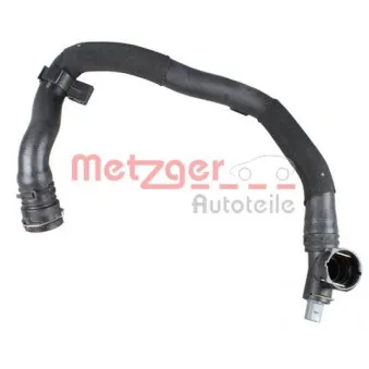 Durite de radiateur METZGER 2420880