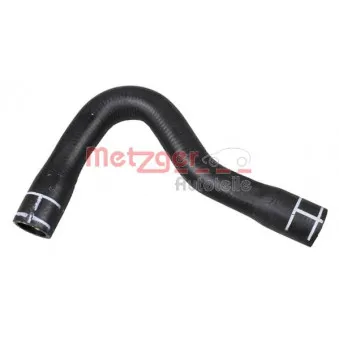 Durite de radiateur METZGER 2420894