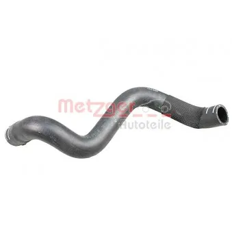 Durite de radiateur METZGER 2420925