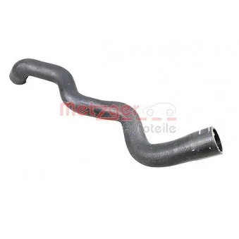 Durite de radiateur METZGER 2420926