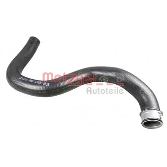 Durite de radiateur METZGER 2420972