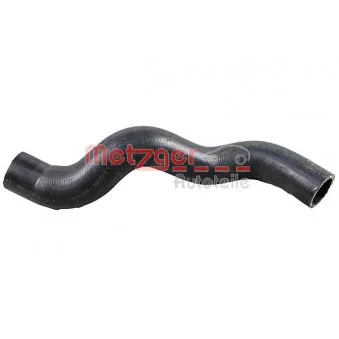 Durite de radiateur METZGER 2420973