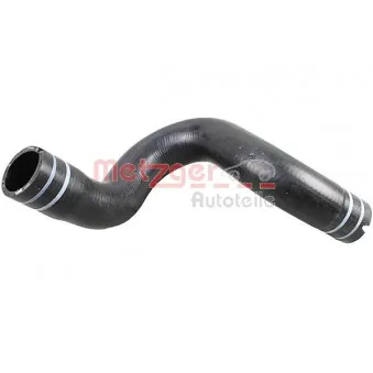 Durite de radiateur METZGER 2420980