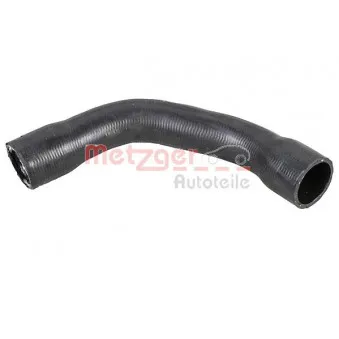 Durite de radiateur METZGER 2420983