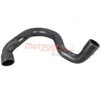 Durite de radiateur METZGER 2420985