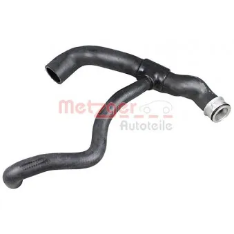 Durite de radiateur METZGER 2420988