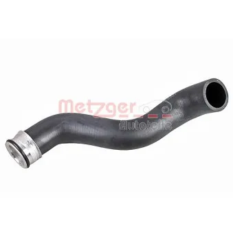 Durite de radiateur METZGER 2420989