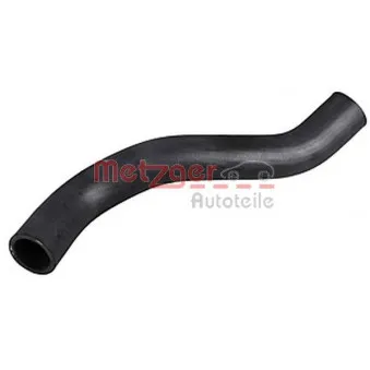 Durite de radiateur METZGER 2421057