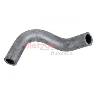 Durite de radiateur METZGER 2421058