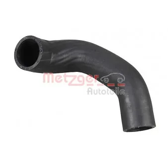 Durite de radiateur METZGER 2421165