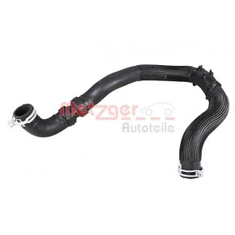 Durite de radiateur METZGER 2421166