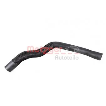 Durite de radiateur METZGER 2421176