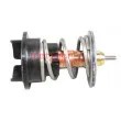 Thermostat, liquide de refroidissement METZGER 4006363 - Visuel 1