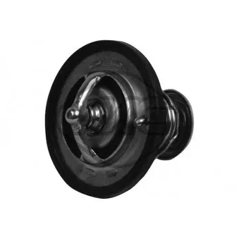 Thermostat d'eau Metalcaucho 30203