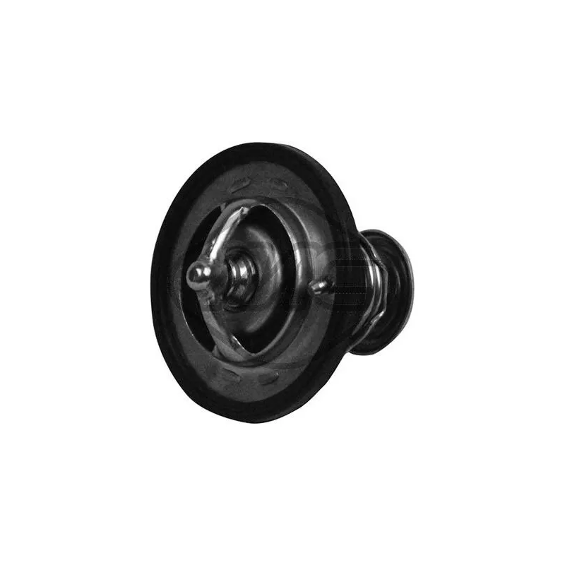 Thermostat d'eau Metalcaucho 30203