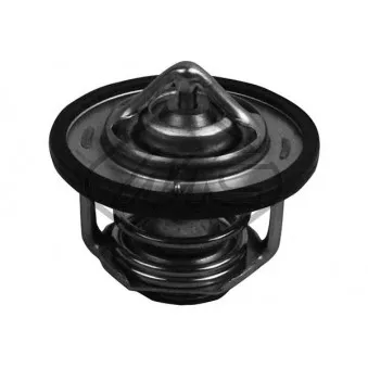 Thermostat d'eau Metalcaucho 30204