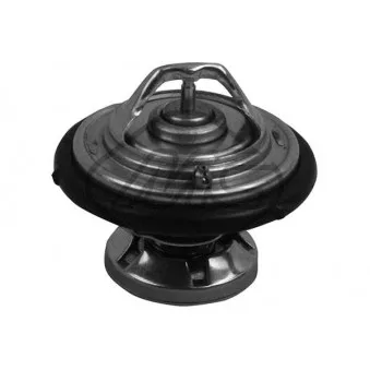 Thermostat d'eau Metalcaucho 30208