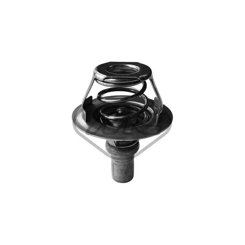 Thermostat d'eau Metalcaucho 30275