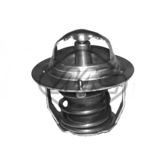 Thermostat d'eau Metalcaucho 30285