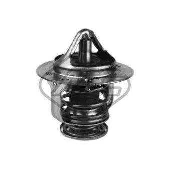 Thermostat d'eau Metalcaucho 30287