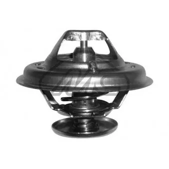 Thermostat d'eau Metalcaucho 30289